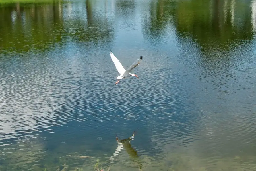 2085 Wolverton E #2085, Boca Raton, FL 33434 - Image #2