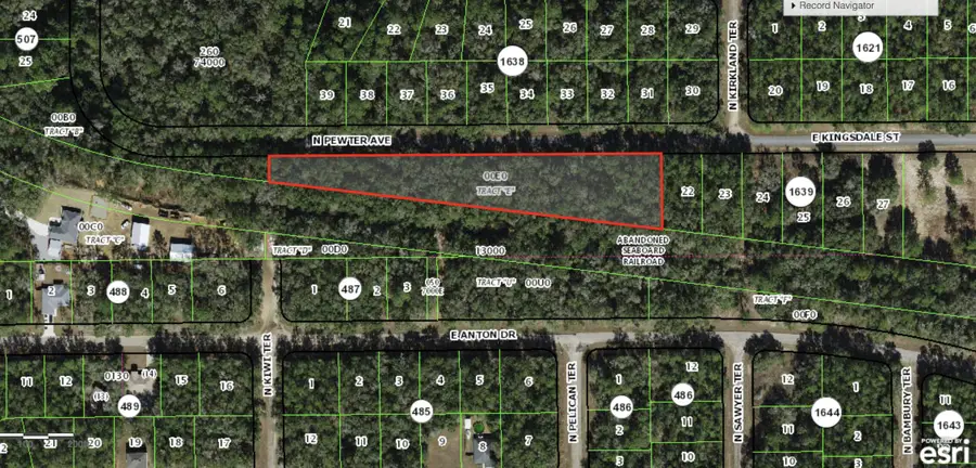 182 E Kingsdale Street, Dunnellon, FL 34434 - #2