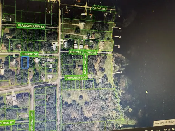 1507 Fringe Street, Lake Placid, FL 33852