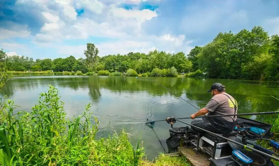 212 Maine Terrace, Hawthorne, FL 32640 - Image #2