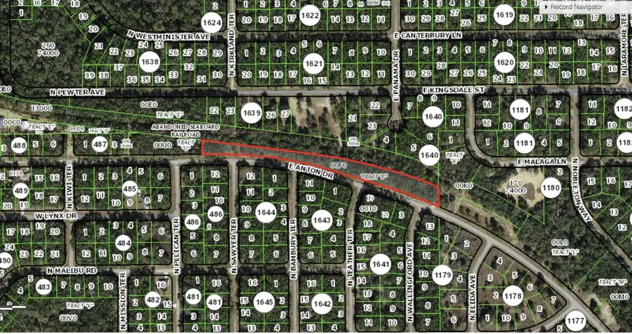 0 E Anton Drive, Citrus Springs, FL 34434 - Image #2