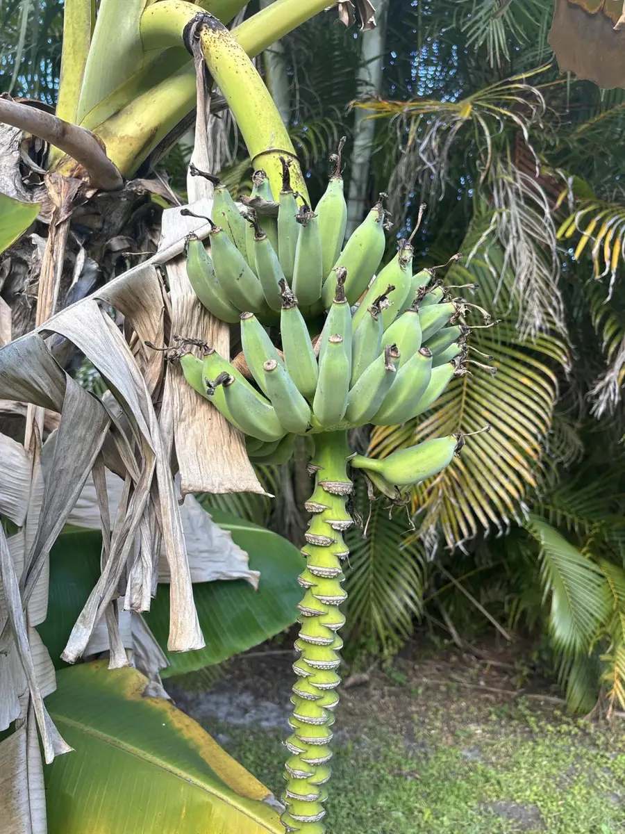 1256 SE Ladner Street, Port Saint Lucie, FL 34952 - Image #2