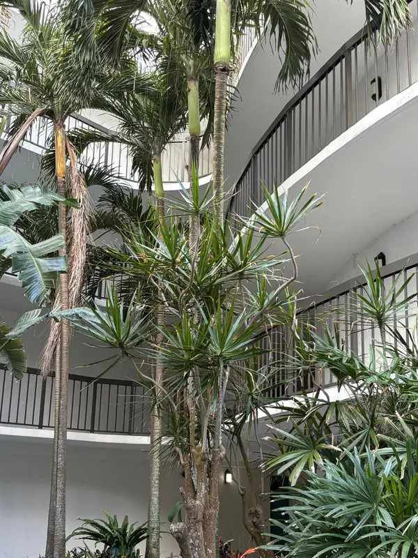 1357 NE Ocean Boulevard #316, Stuart, FL 34996