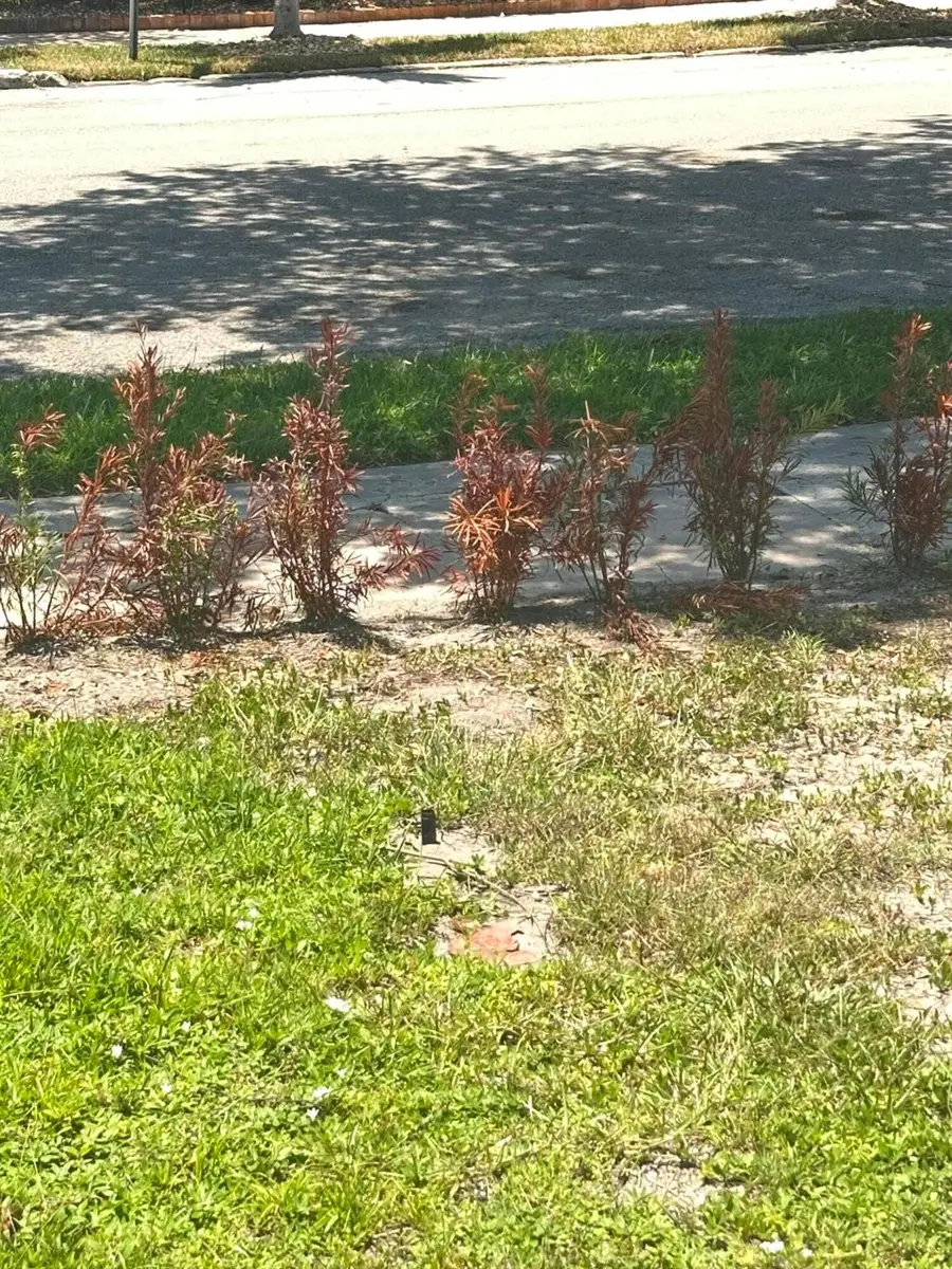 000 Palm Garden Street, Limestone Creek, FL 33458 - Image #3