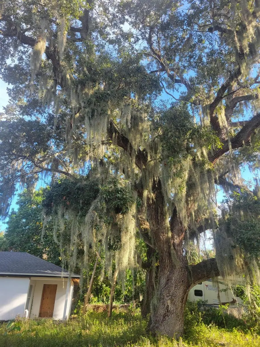 1817 Palm Boulevard, Melbourne, FL 32901 - Image #2