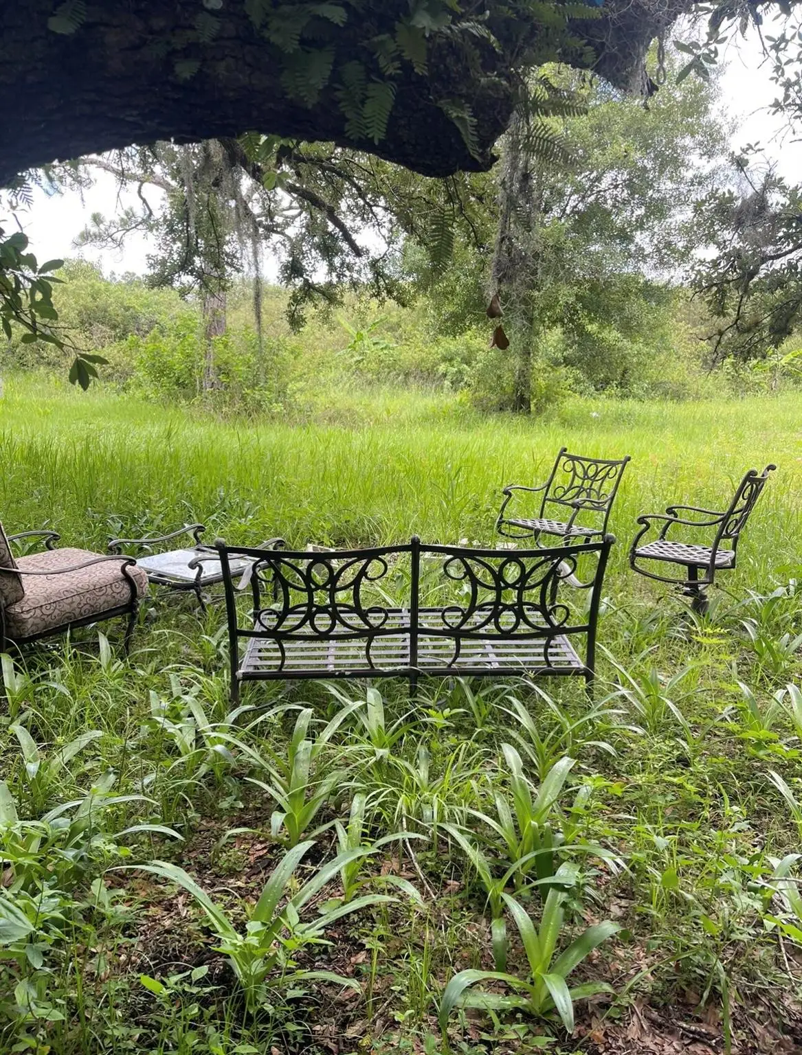 13822 Hamlin Avenue, Clewiston, FL 33440 - Image #1