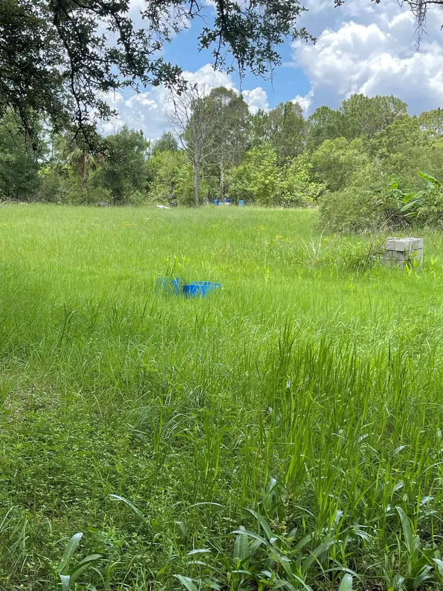 13822 Hamlin Avenue, Clewiston, FL 33440 - Image #2