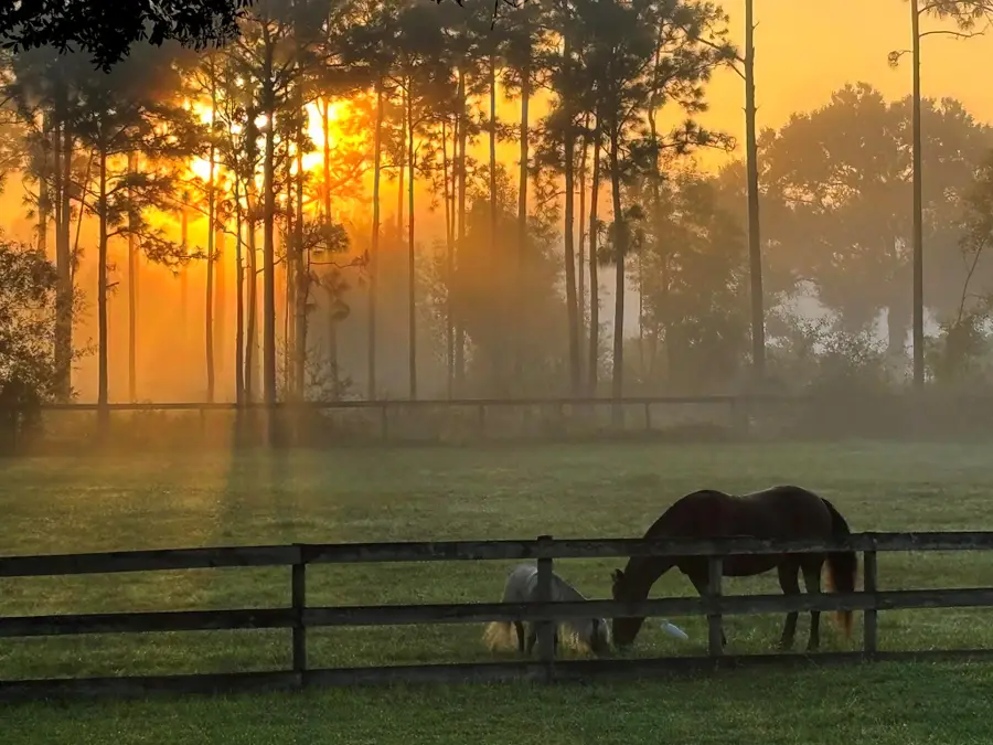 6296 188th Trail N, Loxahatchee, FL 33470 - Image #3