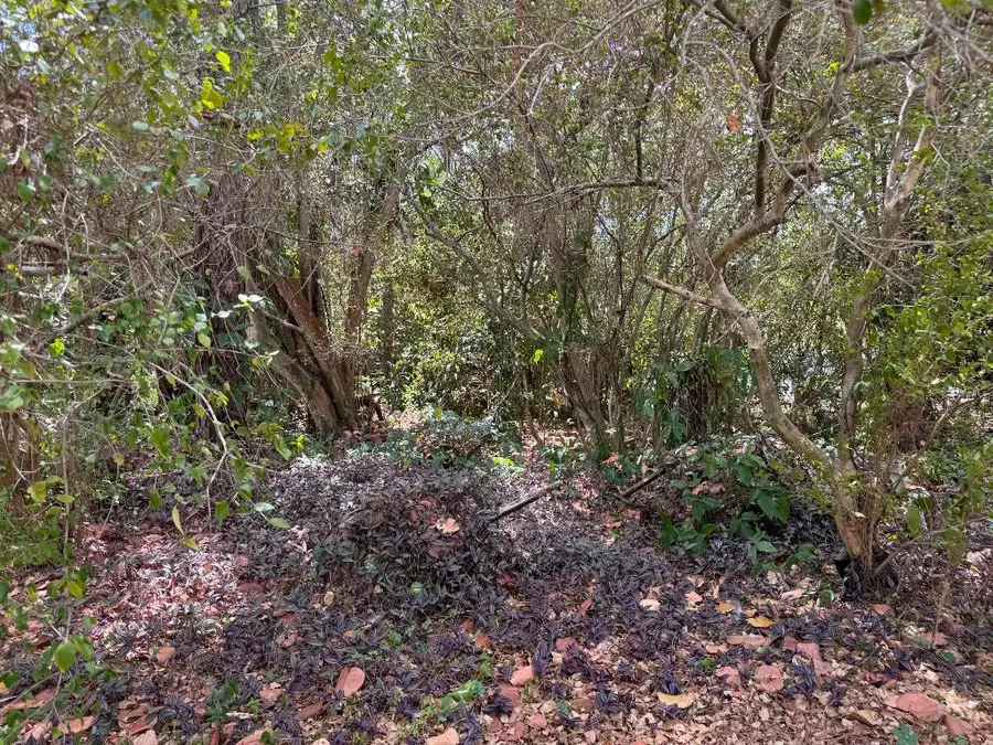 3358 S Jog Road, Greenacres, FL 33467 - Image #2