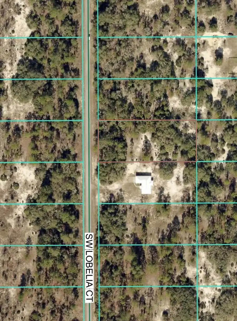 Tbd Lot 35 SW Lobelia Court, Dunnellon, FL 34431 - Image #2