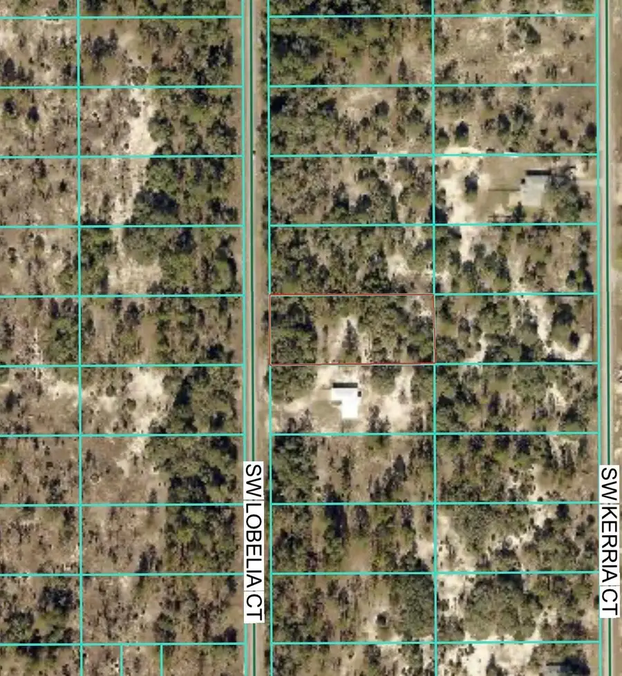 Tbd Lot 35 SW Lobelia Court, Dunnellon, FL 34431 - Image #3