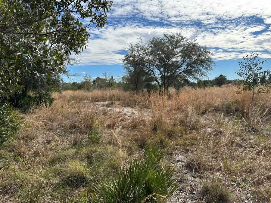 15322 NW 252nd Street, Okeechobee, FL 34972 - Image #2