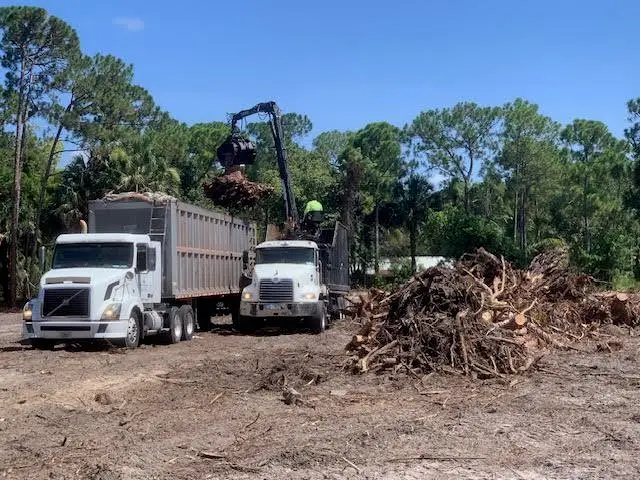 Xx126th Ter, N, Jupiter, FL 33478 - Image #3