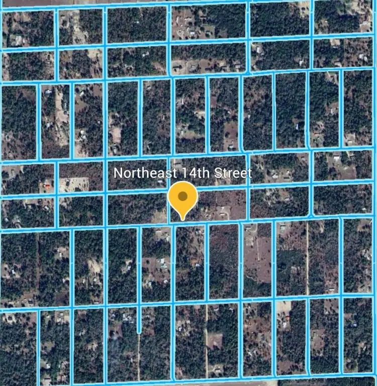 14 NE 0 Street, Williston, FL 32696 - Image #2