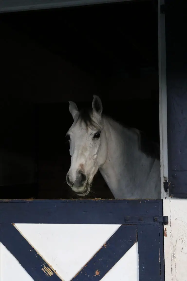 1634 Trotter Court, Wellington, FL 33414 - Image #1