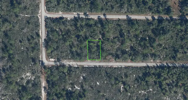 3351 Elmbrook Drive, Lake Placid, FL 33852 - Image #1