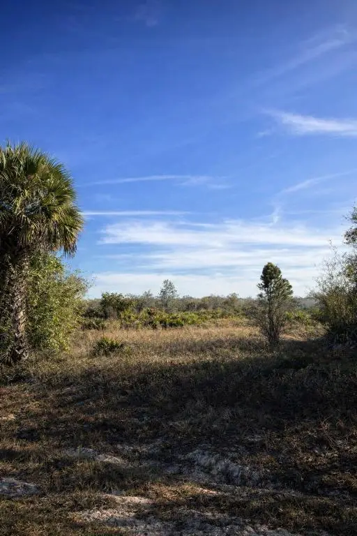 17593 NW 266th Street, Okeechobee, FL 34974 - #1