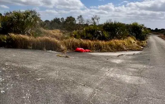 1636 Barrel Court Sw, Palm Bay, FL 32908 - Image #3