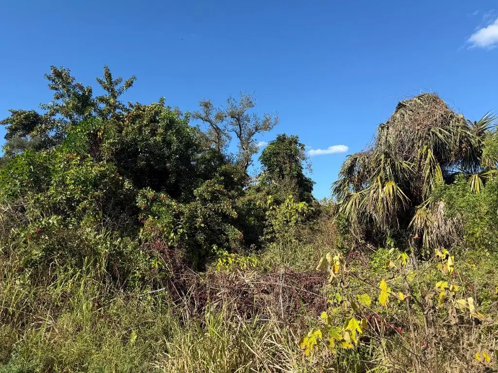 1810 38th Place, Vero Beach, FL 32960 - Image #1