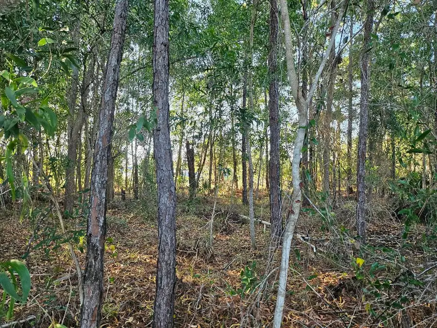 5436 NW Briscoe Drive, Port Saint Lucie, FL 34986 - #2