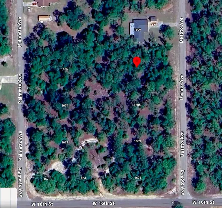 1607 Desoto Avenue, Lehigh Acres, FL 33972 - #1