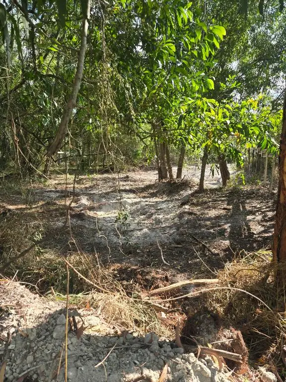 17534 42nd Road N, The Acreage, FL 33470