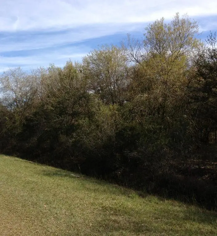 17444 NW 286th Street, Okeechobee, FL 34972 - Image #2