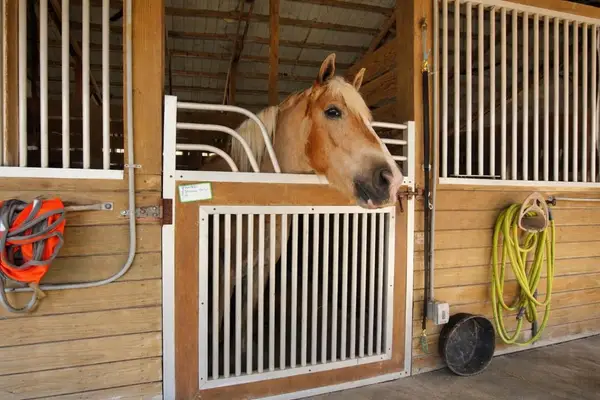 2141 B Road, Loxahatchee Groves, FL 33470