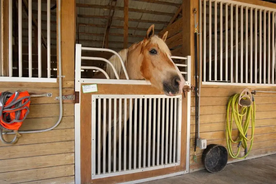 2141 B Road, Loxahatchee Groves, FL 33470 - Image #2