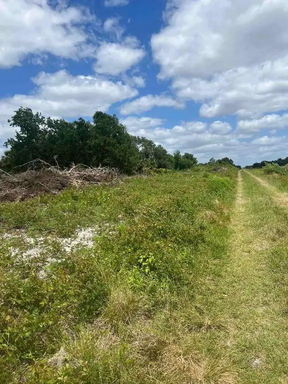 16803 NW 256th Street, Okeechobee, FL 34972 - Image #3