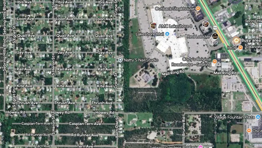 215 Roadrunner Avenue, Sebring, FL 33870 - Image #2
