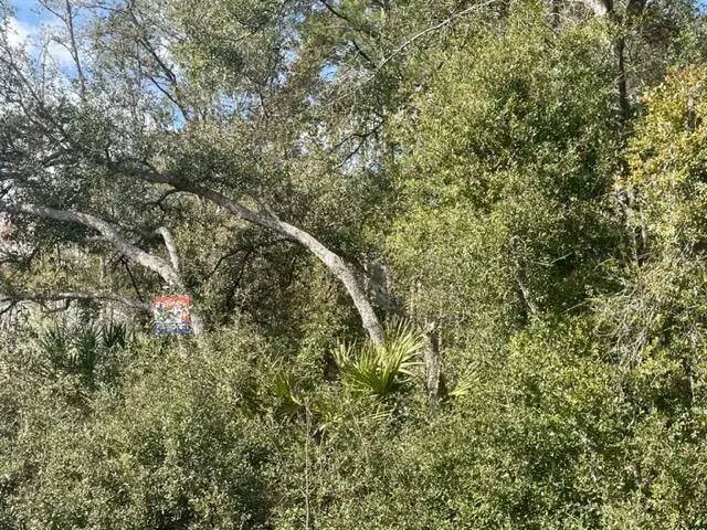 000 Malauka Cir Circle, Ocklawaha, FL 32179 - #1