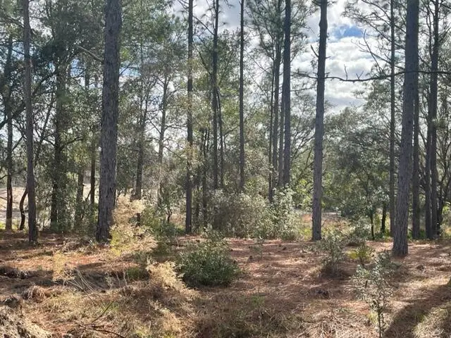 000 Malauka Cir Circle, Ocklawaha, FL 32179 - #2