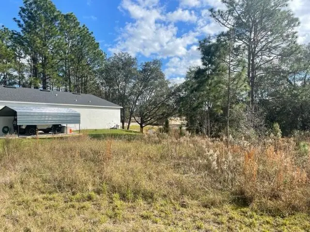 000 Malauka Cir Circle, Ocklawaha, FL 32179 - #3