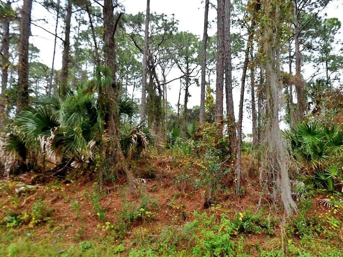 Tbd Giblin Drive, North Port, FL 34286 - Image #1