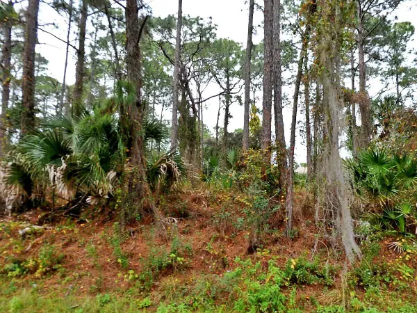 Tbd Giblin Drive, North Port, FL 34286