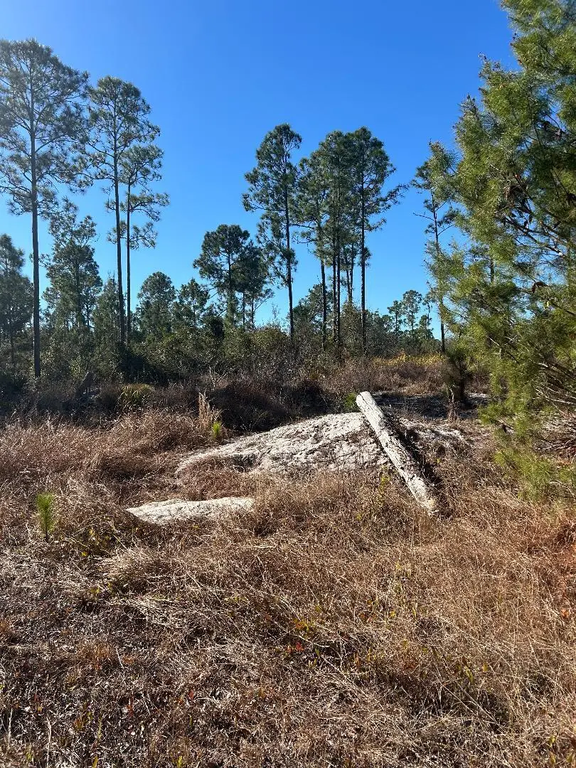 516 Deep River Drive, Lake Placid, FL 33852 - #2