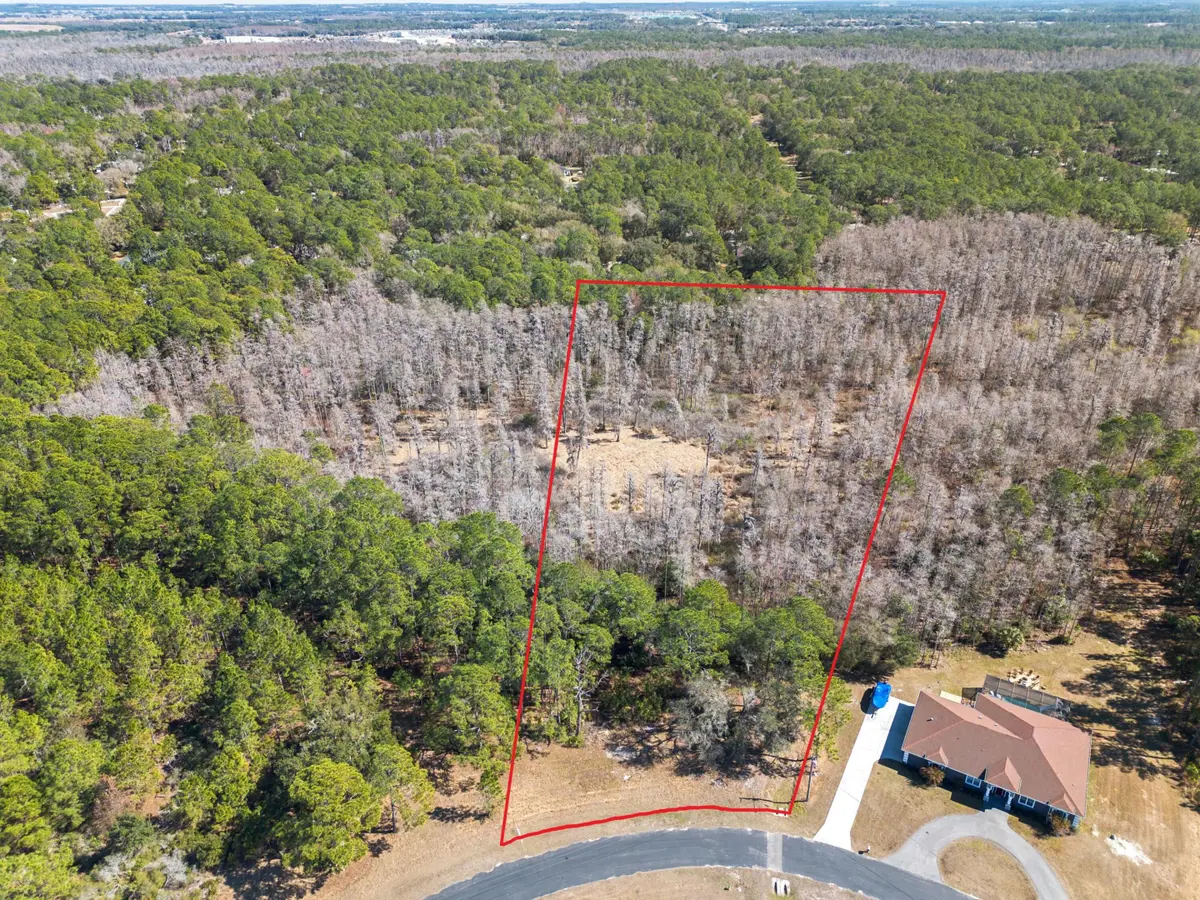 27344 Elkwood Circle, Wesley Chapel, FL 33544 - Image #1