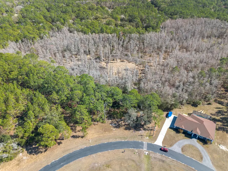 27344 Elkwood Circle, Wesley Chapel, FL 33544 - Image #2