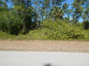 1047 Asther Street E, Lehigh Acres, FL 33974 - #1