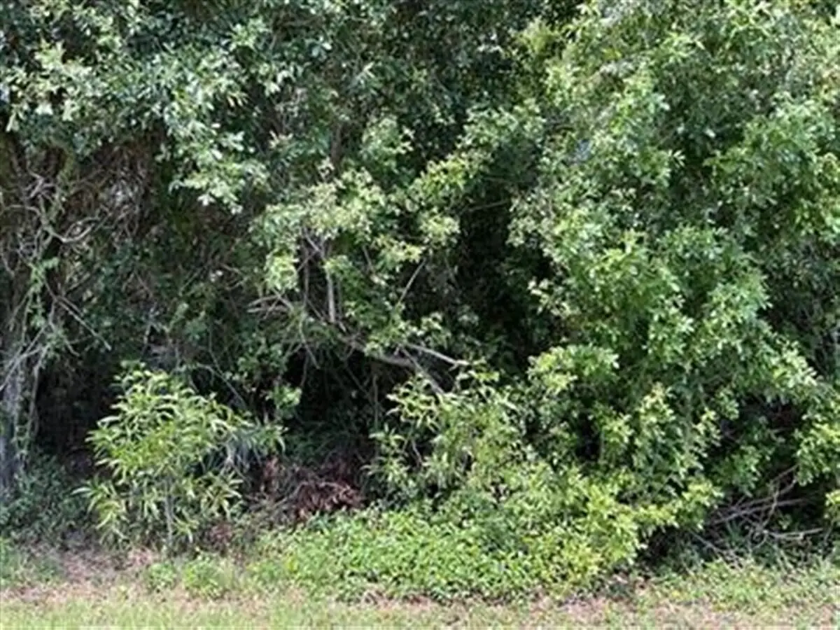 Address Withheld By Seller, Port Saint Lucie, FL 34952 - Image #1