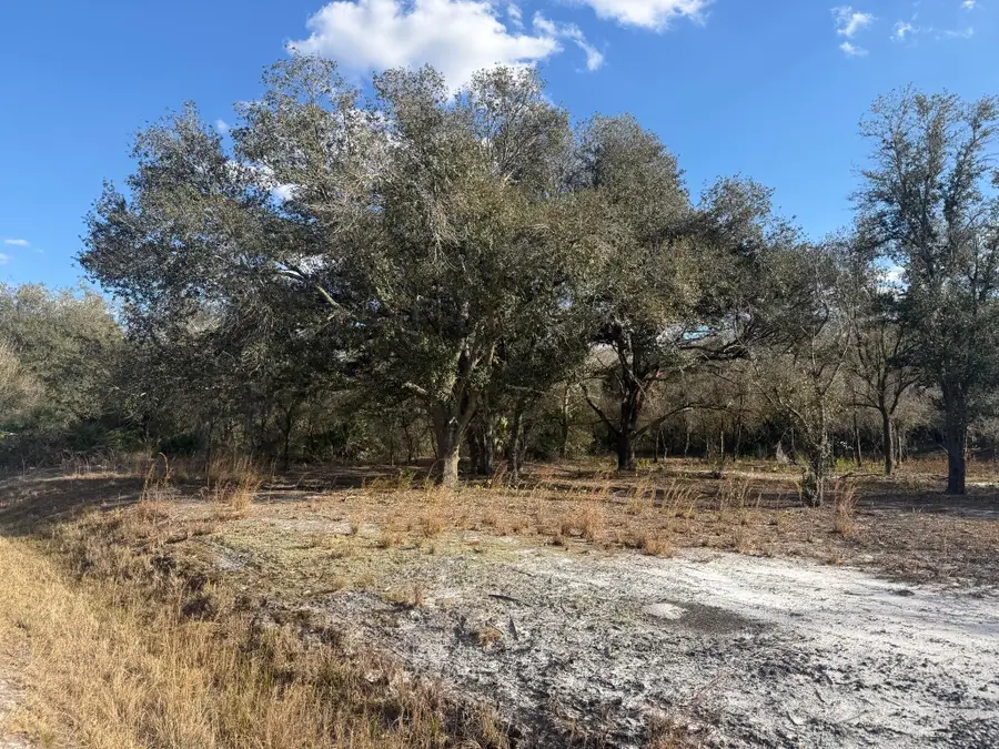 22134 NW 264th Street, Okeechobee, FL 34972 - #3