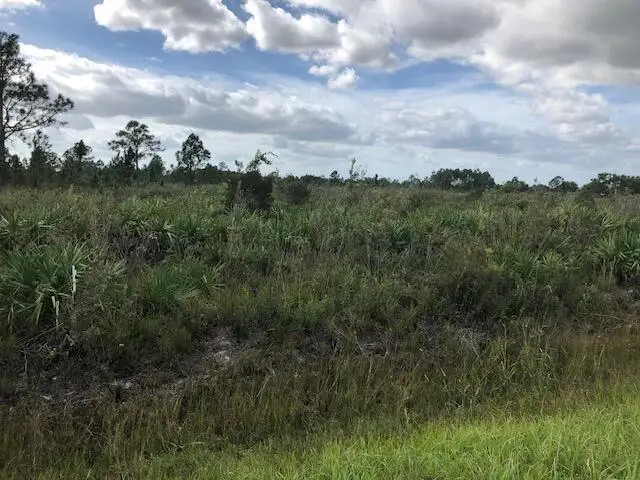 Nnne Undetermined, Ocala, FL 34473 - #1