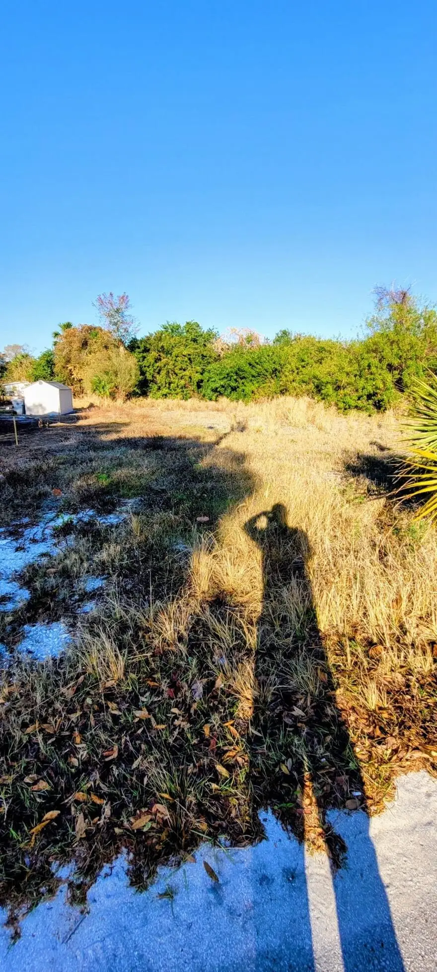 4455 31st Avenue, Vero Beach, FL 32967 - #3