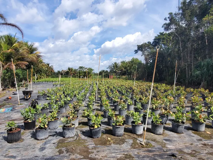 10655..5 61st Street S, Wellington, FL 33449 - #3