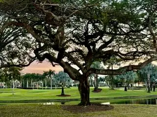 2518 2518 Coco Plum Blvd. #1202, Boca Raton, FL 33496 - #3