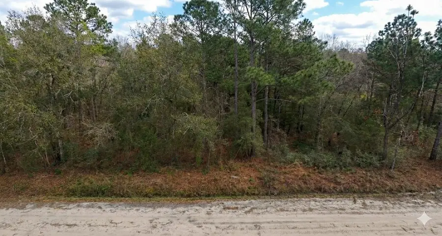 10230 Zigler Avenue, Hastings, FL 32145 - #3