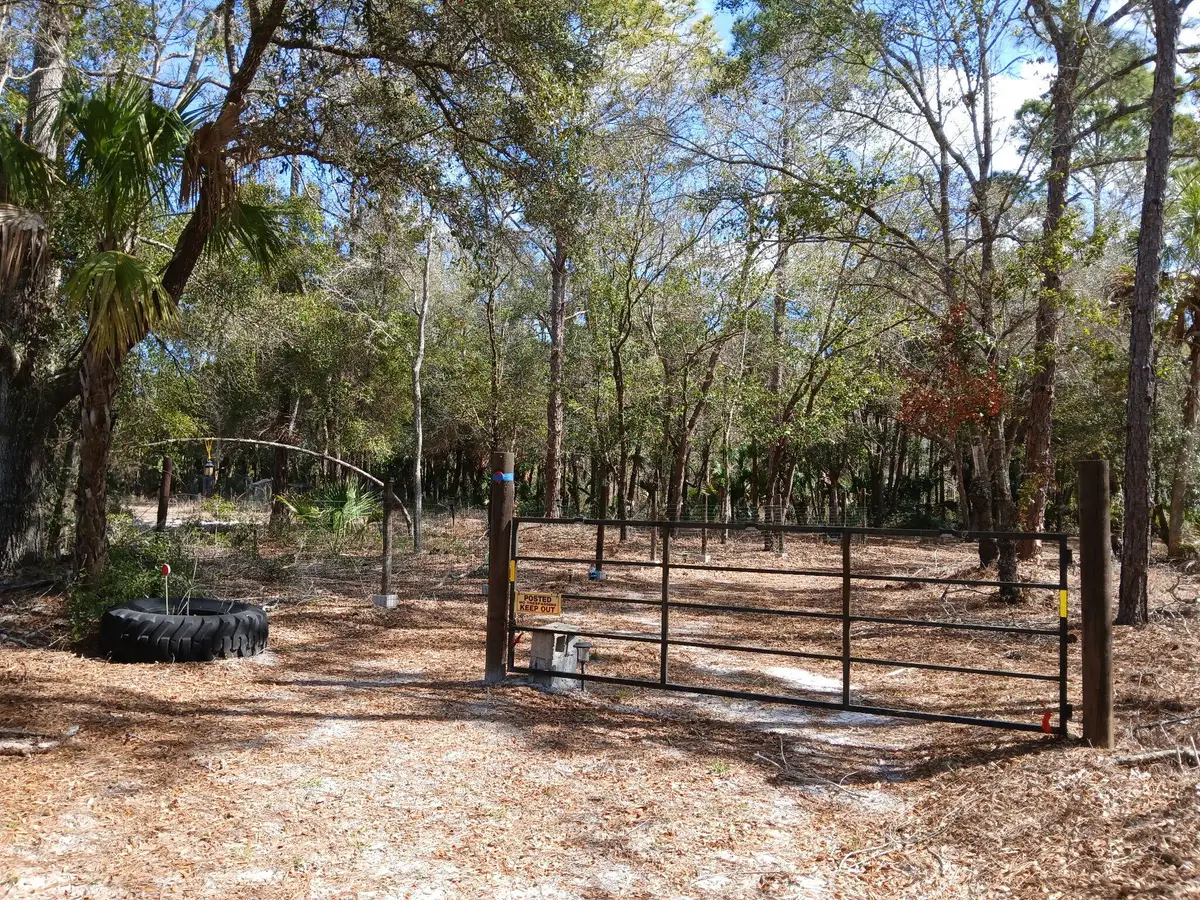 11991 W Flaxen Drive, Crystal River, FL 34428 - #1