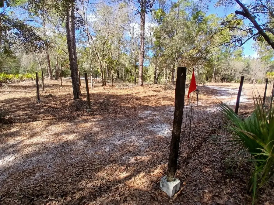 11991 W Flaxen Drive, Crystal River, FL 34428 - #2