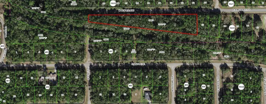 182 E Kingsdale Street, Citrus Springs, FL 34434 - Image #2